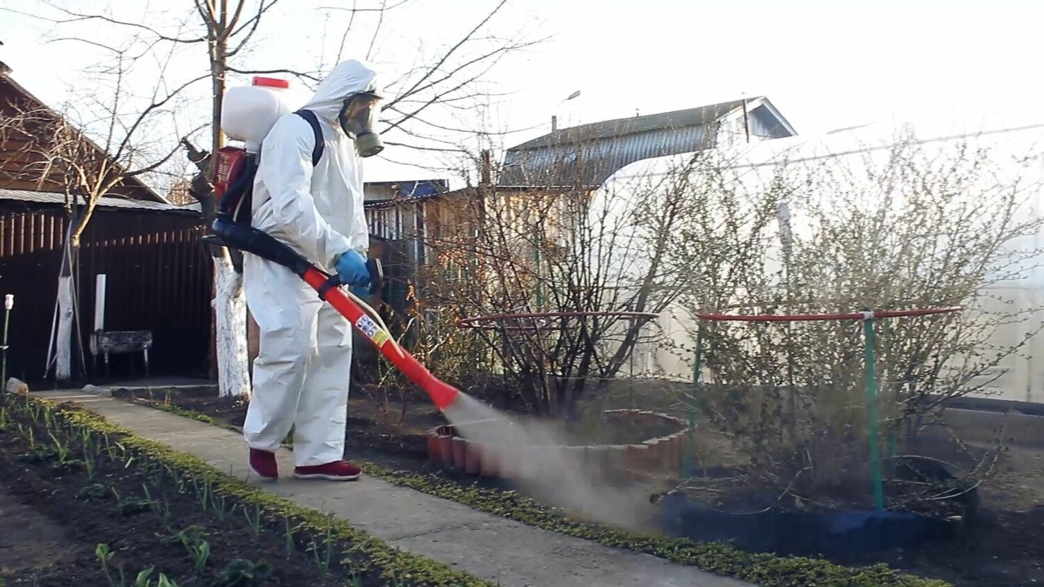 ФОТО Уничтожение муравьёв в рабочем поселке Московской области Монино