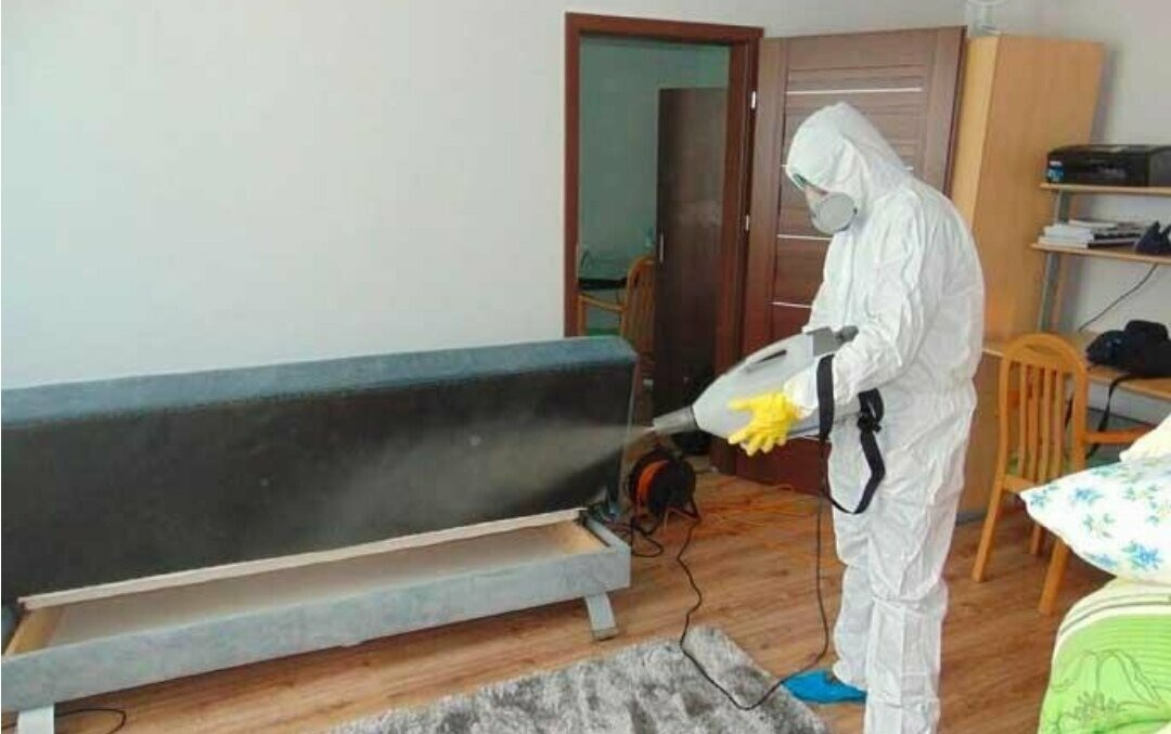 ФОТО Уничтожение блох в рабочем поселке Московской области Монино