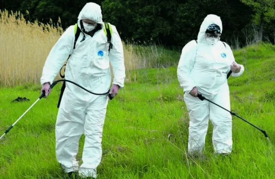 ФОТО Обработка от клещей в рабочем поселке Московской области Монино