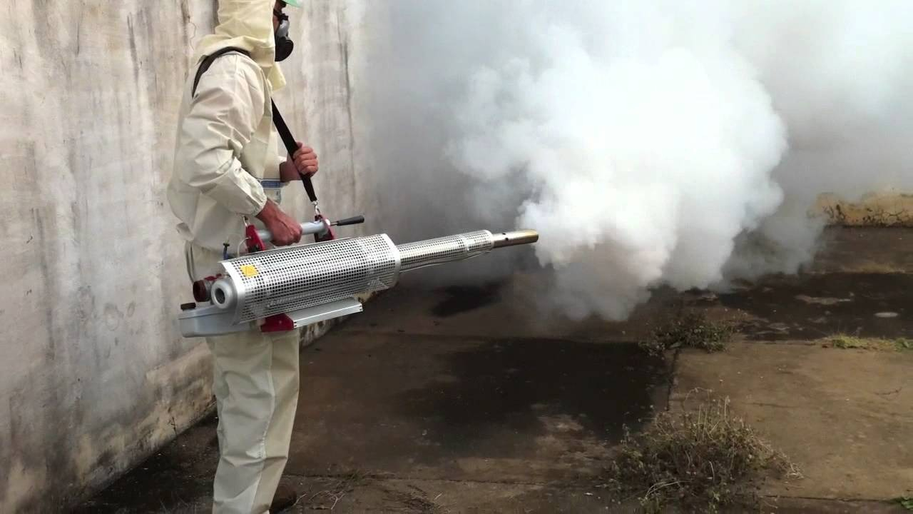 ФОТО Уничтожение мух в рабочем поселке Московской области Монино