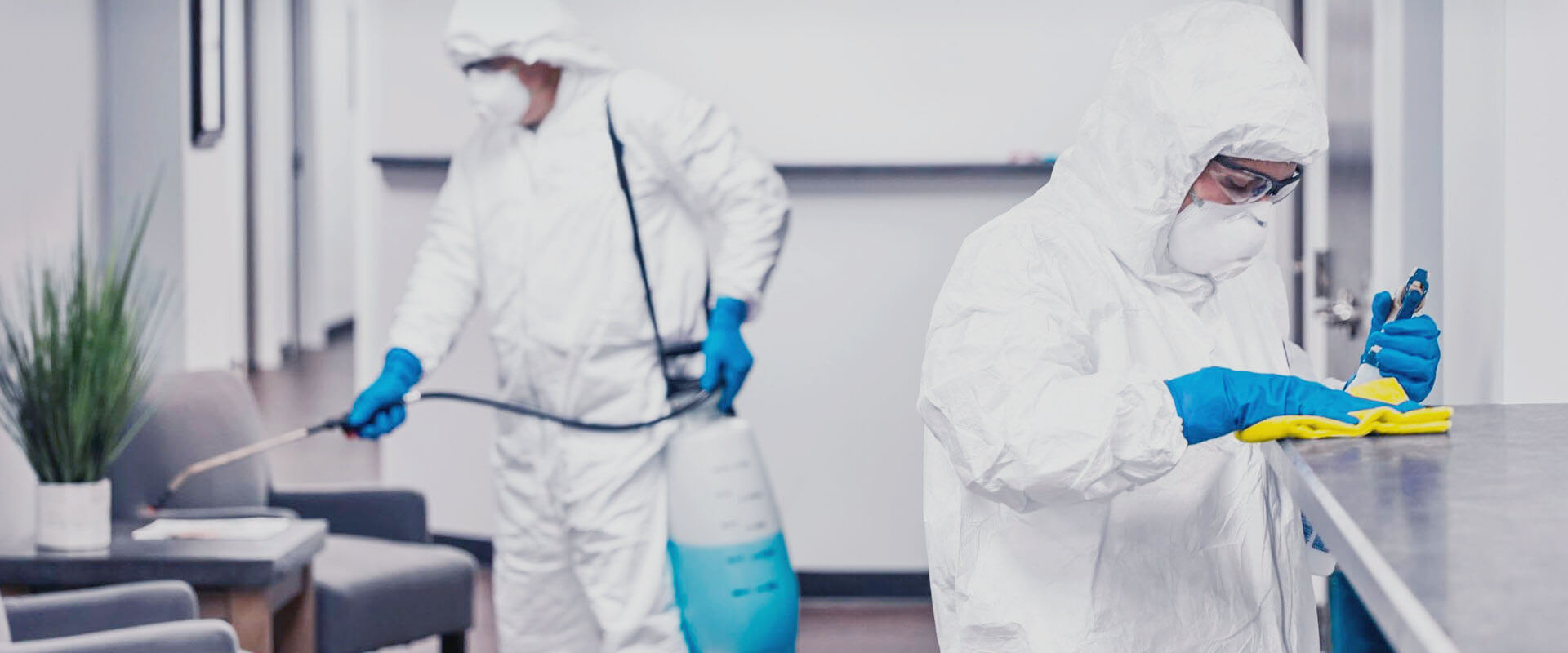 ФОТО В чем разница между дезинфекцией и дезинсекцией в рабочем поселке Московской области Монино? | подробно