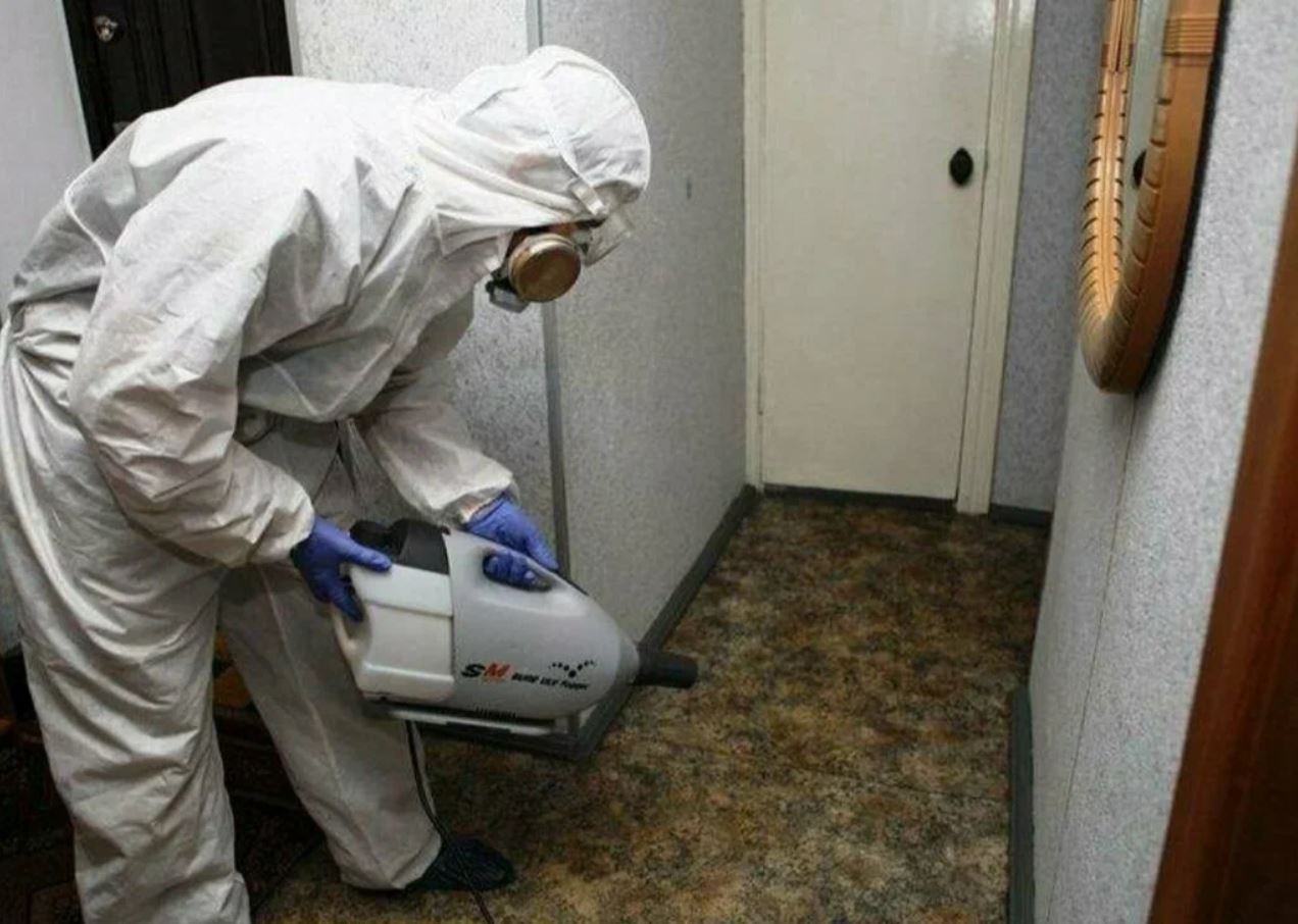 ФОТО Какие методы обработки для дезинсекции существуют в рабочем поселке Московской области Монино? | подробно