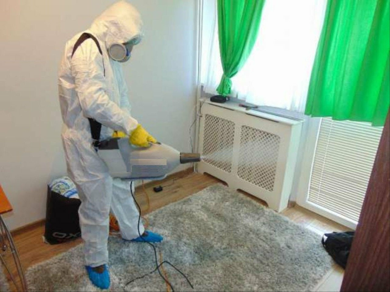 ФОТО Сколько времени занимает обработка при дезинсекции в рабочем поселке Московской области Монино? | подробно