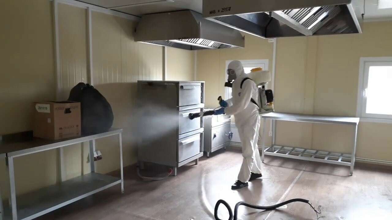 ФОТО Можно ли провести дезинсекцию самостоятельно и какие существуют риски в рабочем поселке Московской области Монино? | подробно