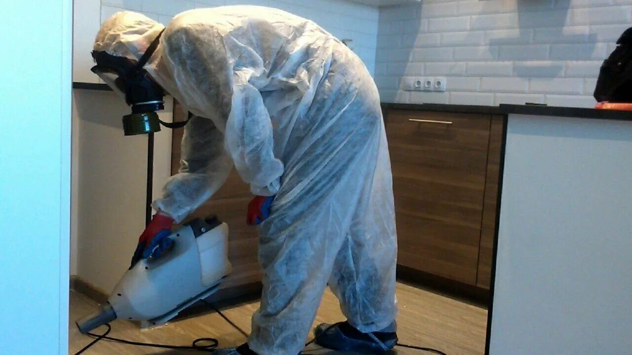 ФОТО Как подготовить домашних животных к обработке от насекомых в рабочем поселке Московской области Монино? | подробно