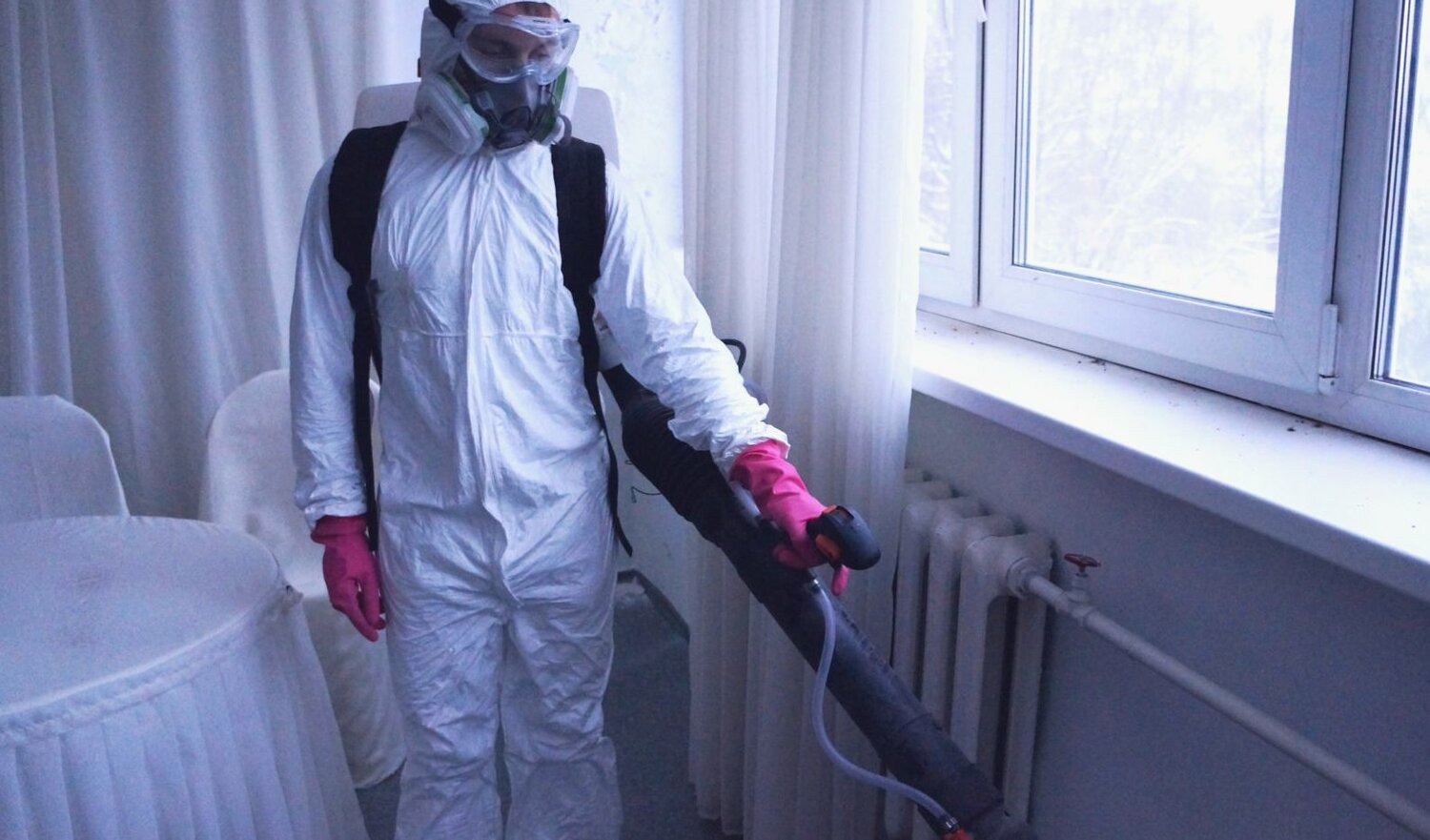 ФОТО Нужно ли выносить растения при дезинсекции в рабочем поселке Московской области Монино? | подробно