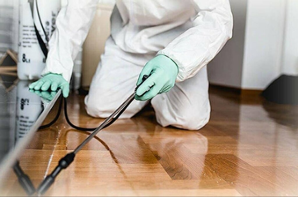 ФОТО Как подготовить вентиляцию при предстоящей дезинсекции в рабочем поселке Московской области Монино?