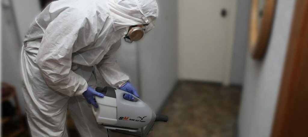 ФОТО Остаются ли следы после обработки квартиры от насекомых в рабочем поселке Московской области Монино? | подробно