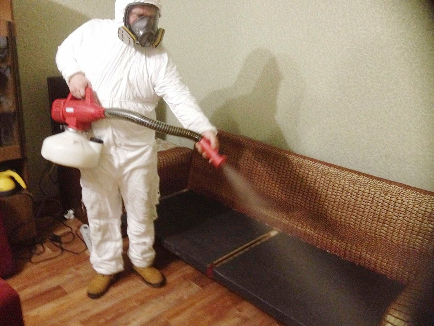 ФОТО Когда можно вернуться в помещение после дезинсекции в рабочем поселке Московской области Монино? | подробно