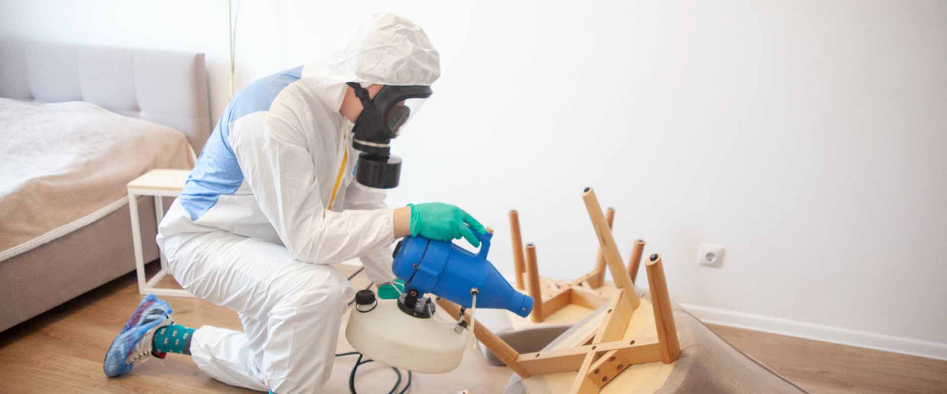 фото: Уничтожение постельных клопов с 1-го раза с гарантией за 30-60 мин. в рабочем поселке Московской области Монино без предоплаты