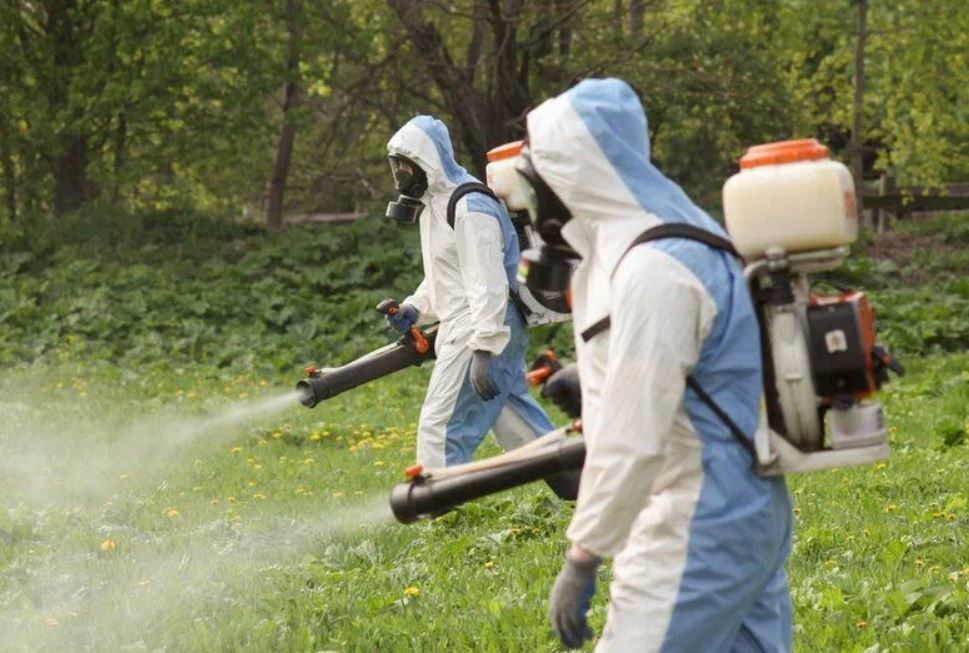 фото: Профессиональное уничтожение мух в рабочем поселке Московской области Монино: <br/>+7-909-173-42-96